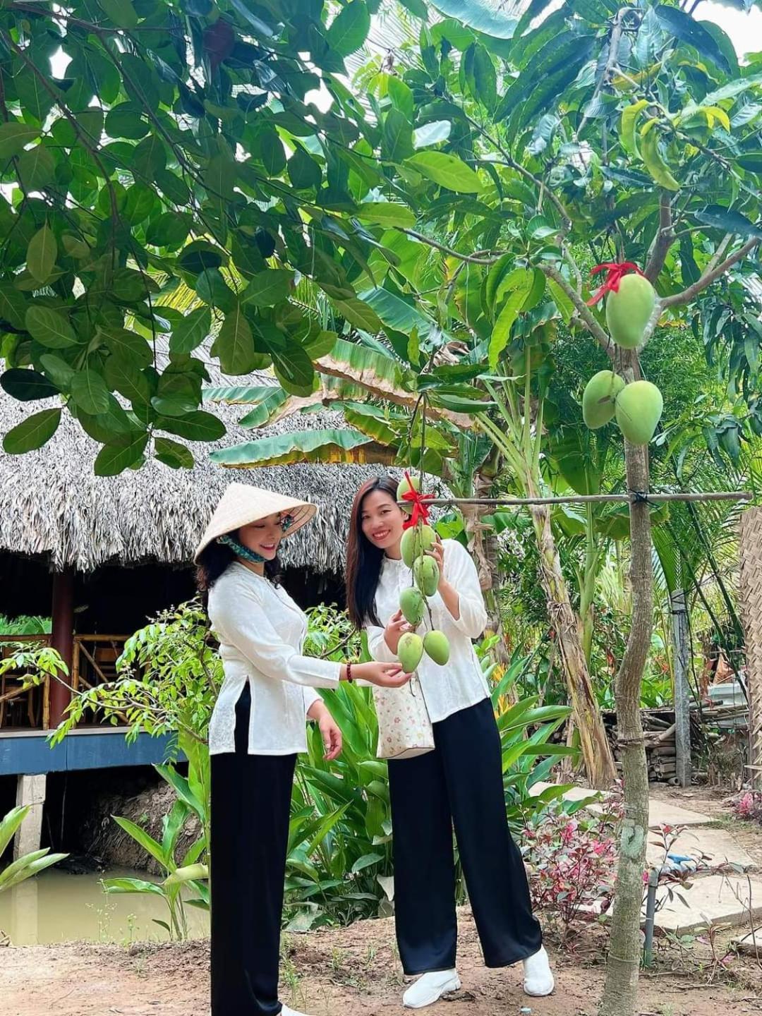 Homestay Nam Ham Luong Ben Tre Luaran gambar